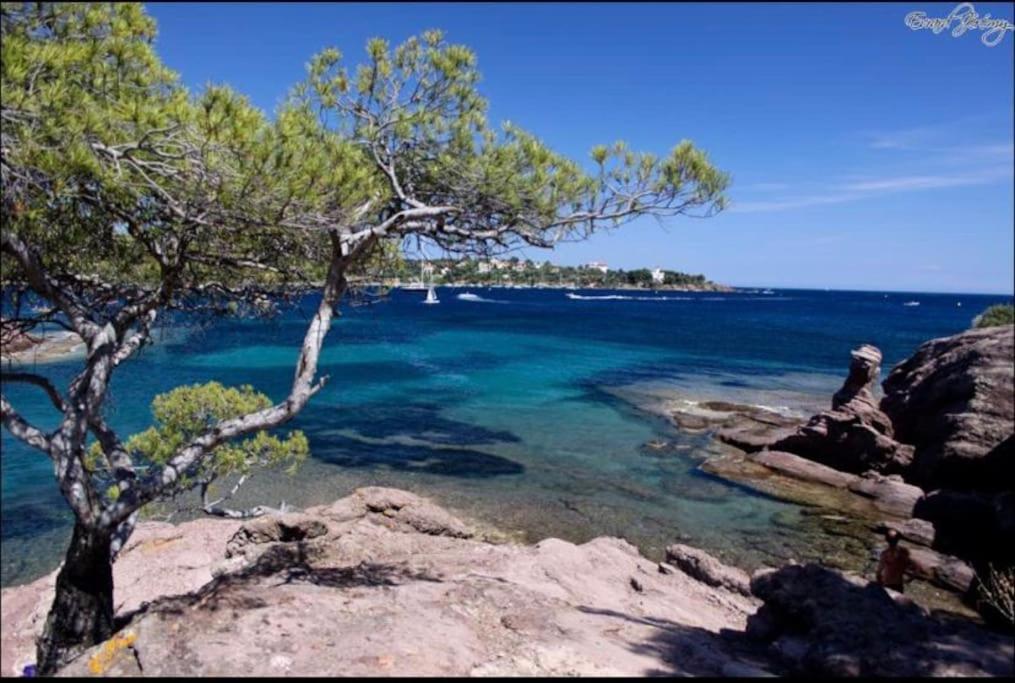 Chaleureux Appartement Face Au Port Sta Lucia, Tout A Pieds, Wifi Saint-Raphaël Kültér fotó