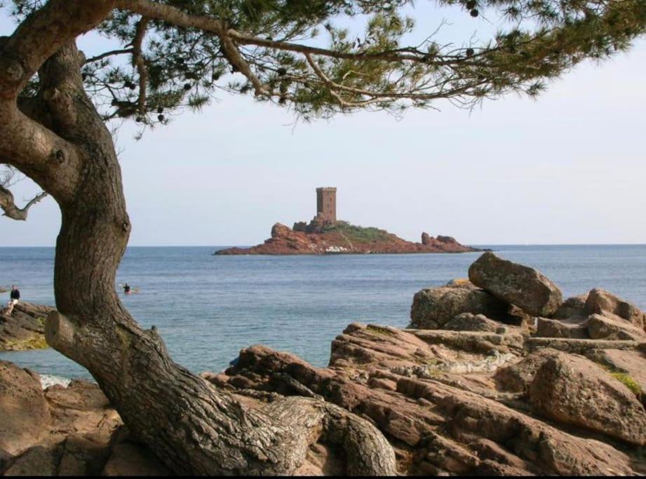 Chaleureux Appartement Face Au Port Sta Lucia, Tout A Pieds, Wifi Saint-Raphaël Kültér fotó