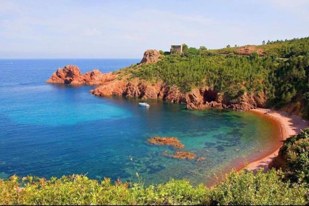 Chaleureux Appartement Face Au Port Sta Lucia, Tout A Pieds, Wifi Saint-Raphaël Kültér fotó